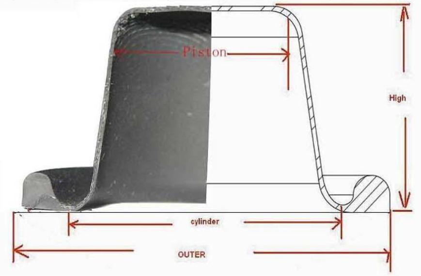 rolling diaphragm